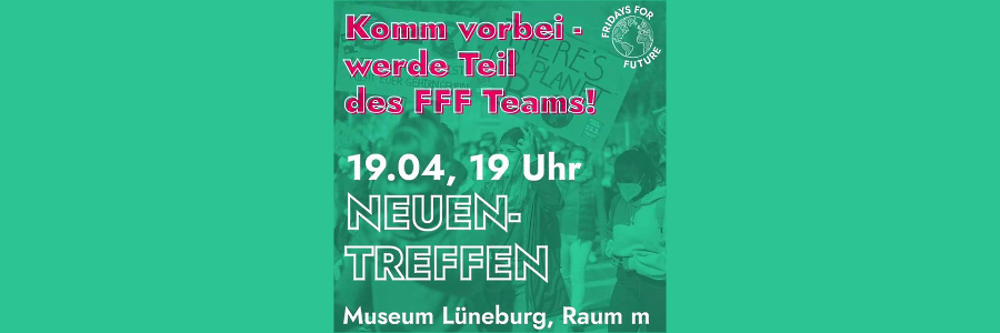 Grafik: FFF Lüneburg.