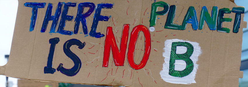 "There is no planet B". Protest für Klimaschutz. Foto: Niklas Pntk, Pixabay.