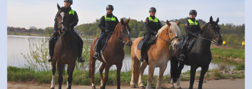 Polizeireiterinnen und Polizeireiter im Biosphärenreservat "Niedersächsische Elbtalaue". Foto: PI Lüneburg.