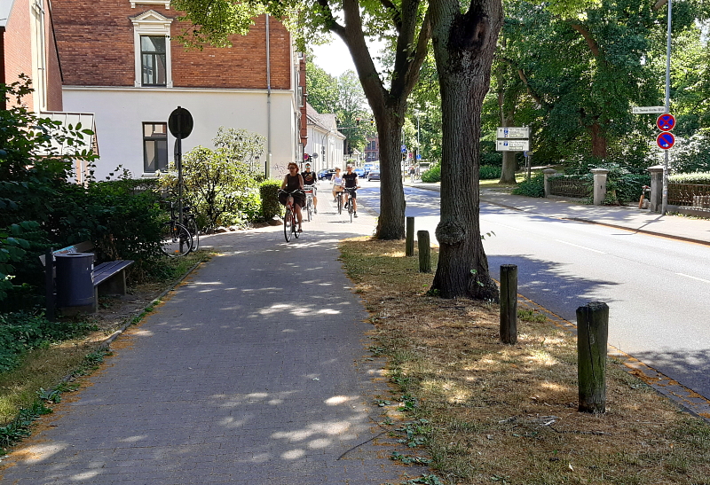 Am Springintgut: Der Radverkehr braucht Platz. Ihn auf die Fußwege zu schicken, ist keine gute Lösung. Foto: FUSS e.V. Lüneburg.