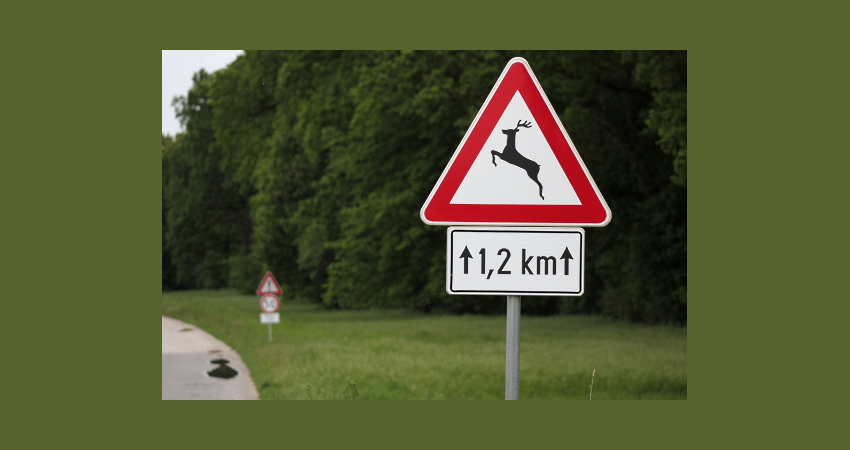 Warnschild Wildwechsel. Foto: Goran Horvat, Pisabay.