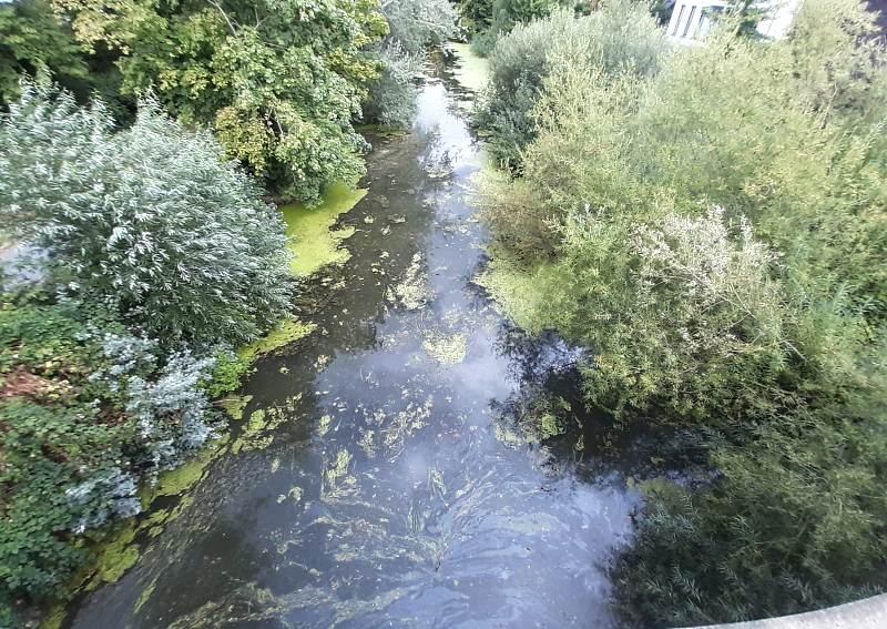 Auch nicht mehr viel Wasser: Der Lösegraben in Lüneburg am 16. August 2022. Foto: Lüne-Blog.