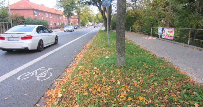 Dahlenburger Landstraße mit Radfahrstreifen. Foto: Lüne-Blog.