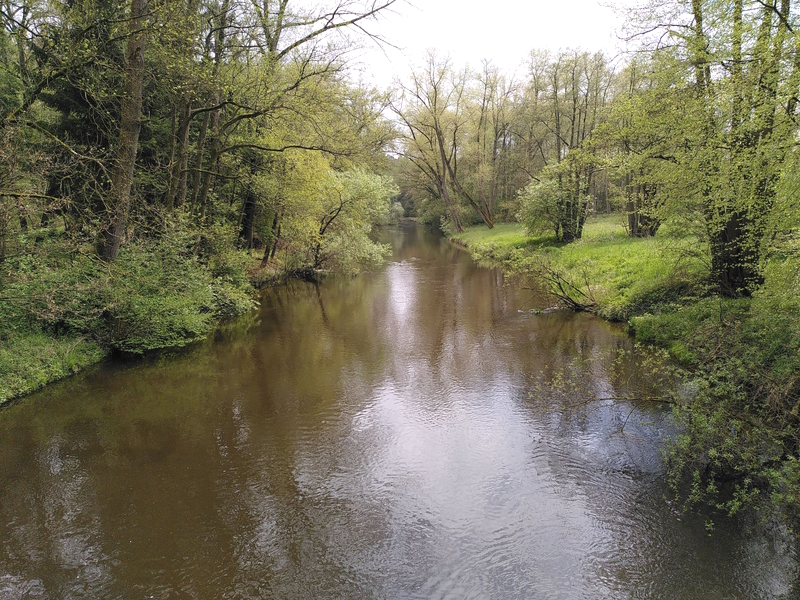 Flussabschnitt der Ilmenau. Foto: Ine Petz.