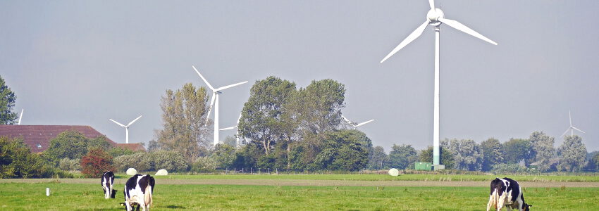 Windenergie und Weiden. Foto: Erich Westendarp, Pixabay.