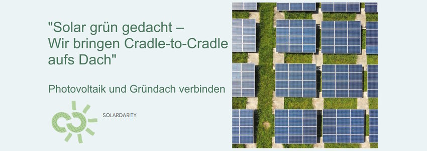 Informationsveranstaltung zu Solidarity am 31.01.2023. Grafik: Solardarity - angepasst.