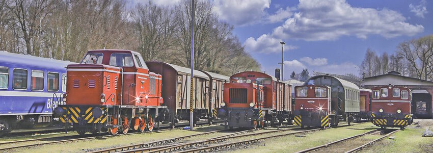 Betriebsgelände der Arbeitsgemeinschaft der Eisenbahnfreunde Lüneburg. Foto: Jörg Bode, AVL.