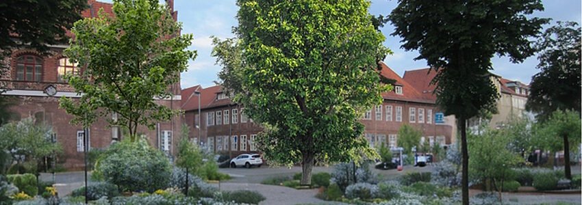 Marienplatz als grüne Oase. Fotomontage: N. Hapke, J. Korn