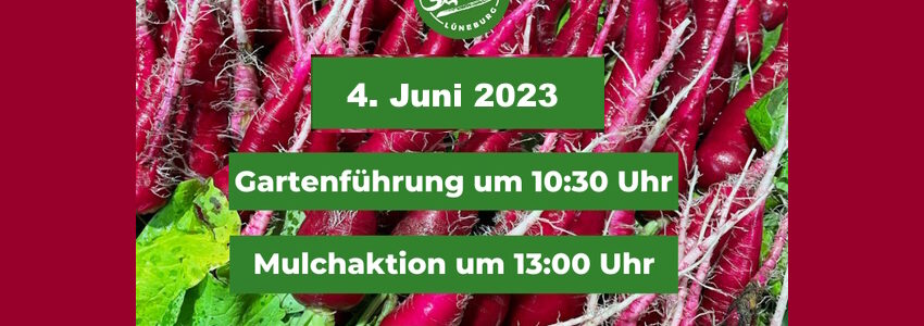 WirGarten: Gartenführung am 4. Juni 2023