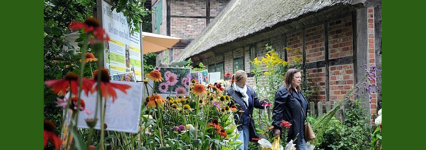 Foto: Freilichtmuseum Kiekeberg. Pflanzenmarkt im Sommer.