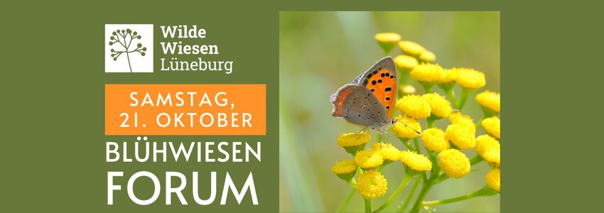 Blühwiesen-Forum: Tagung am 21.10.2023. Grafik: Plakat.