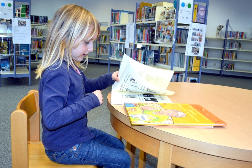 Lesendes Mädchen in der Bücherei. Beispielfoto. Foto: Ben Kerckx, Pixabay.