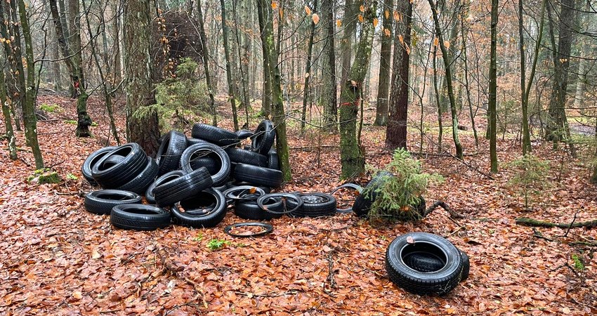 Foto: Hansestadt Lüneburg. Illegal entsorgte Autoreifen im Tiergarten nahe Deutsch Evern.