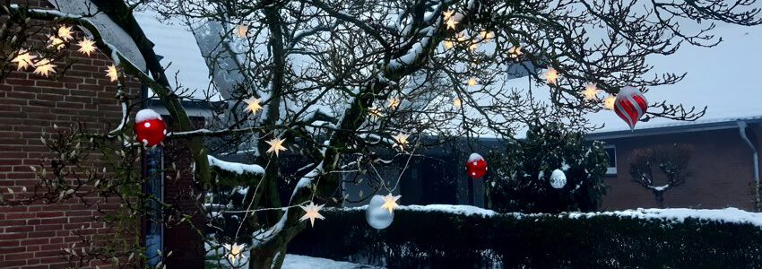 Baum mit Weihnachtsschmuck. Bardowick. Foto: Lüne-Blog.