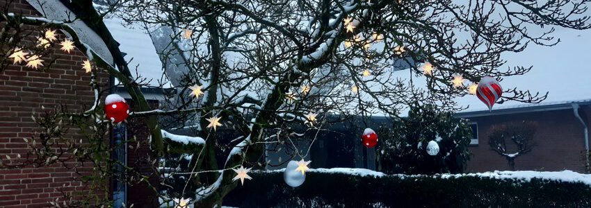 Baum mit Weihnachtsschmuck. Bardowick. Foto: Lüne-Blog.