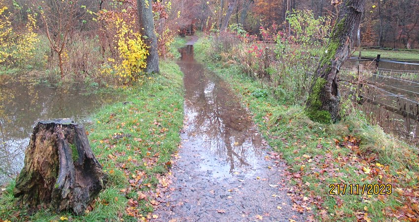 Hochwasser an der Ilmenau: Überschwemmter Fußweg. Foto: Hansestadt Lüneburg.