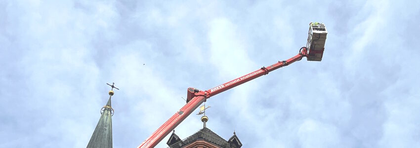Rettungsaktion eines Falken an der Kirche St. Nicolai. Foto: Hansestadt Lüneburg.