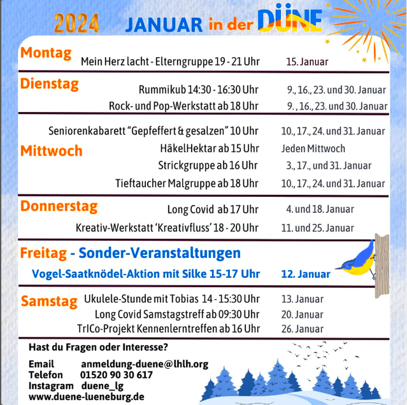 DÜNE Lüneburg - Veranstaltungsübersicht Januar 2024.