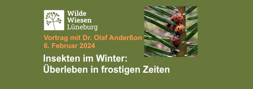 Vortrag Insekten im Winter - 06.02.2024. Grafik: Lüne-Blog.