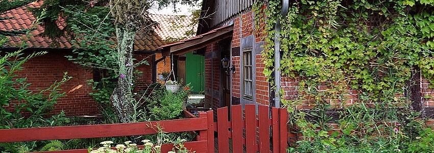 Haus mit verwildertem Garten. Foto: M.H., Pixabay.