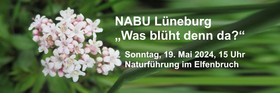 Foto: NABU Lüneburg. Naturkundliche Führung am 19.05.2024.