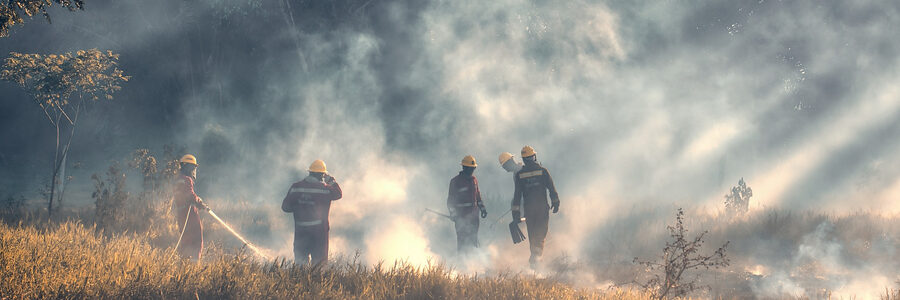 Feuerwehr beim Waldbrand. Foto: Ronald Plett, Pixabay.
