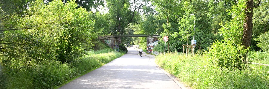 Amselweg Richtung Rotes Feld. Dieser Weg wird im Gutachten als Fahrradstraße vorgeschlagen. Foto: Radentscheid Lüneburg.