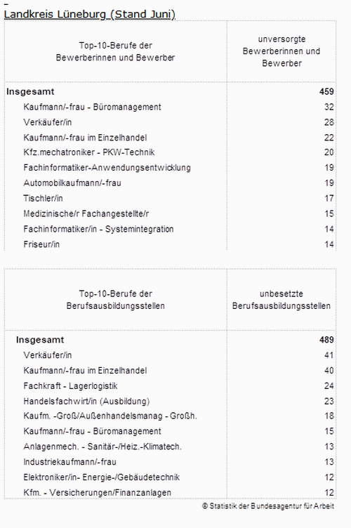Top-10: Gesuchte Berufe und angebotene Ausbildungsstellen im Landkreis Lüneburg, Juni 2024. Statistik: Bundesagentur für Arbeit.
