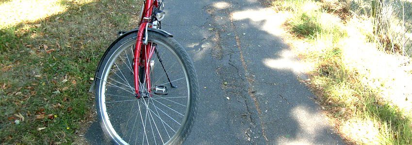 Foto: E. Habisch. Radweg Soltauer Allee. Die Schäden am Belag sind gut sichtbar.