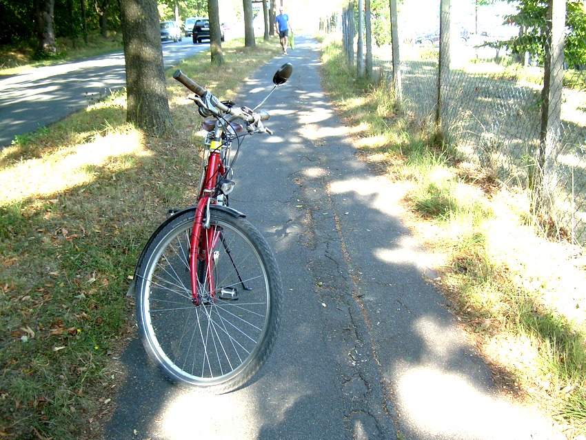 Foto: E. Habisch. Radweg Soltauer Allee. Die Schäden am Belag sind gut sichtbar. 