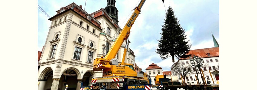 Weihnachten 2024: Tanne wird vor dem Rathaus aufgestellt. Foto: Hansestadt Lüneburg.