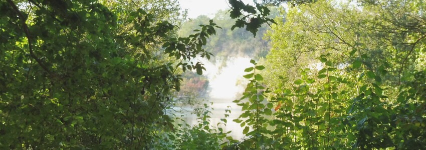 Ausblick auf den Kreidebergsee. Foto: Grünplanung, Hansestadt Lüneburg.