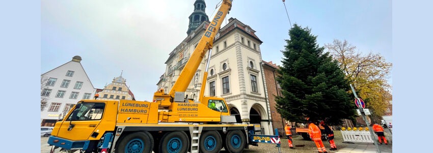 Millimeterarbeit: Der Weihnachtsbaum neben dem Rathaus wird aufgestellt. Foto: Hansestadt Lüneburg.