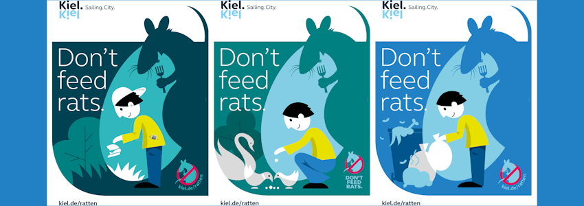 Plakataktion Kiel: Don't feed rats. Sharepics.