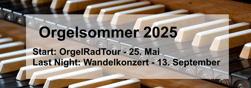 Lüneburger Orgelsommer 2025. Foto: PhotoGrafix, Pixabay.