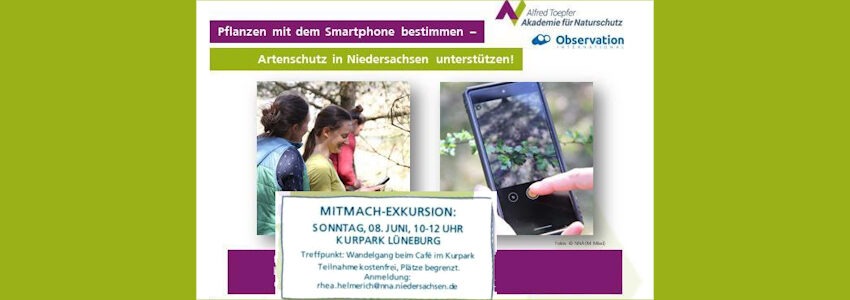 Mitmach-Exkursion zur Pflanzenbestimmung. Kurpark Lüneburg am 8. Juni 2025. Grafik: Alfred Töpfer Akademie für Naturschutz, Niedersachsen (angepasst).