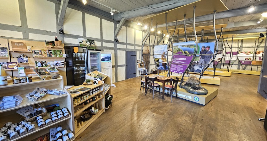 Archezentrum Amt Neuhaus, 2024. Blick in Verkaufsraum und Ausstellungsbereich. Foto: Archezentrum.