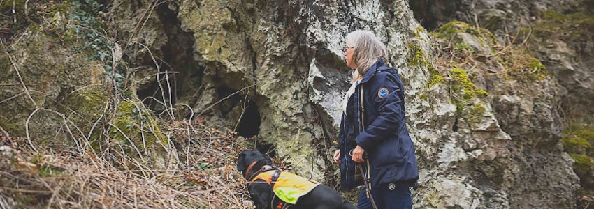 Wo sind die Fledermäuse? Artenspürhündin Vilda suchte gemeinsam mit Hundeführerin Katrin Wegener-Lundkvist nach neuen Abflugspalten. Foto: Julian-Keno Lilienthal.