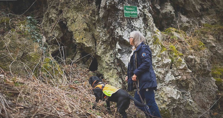 Wo sind die Fledermäuse? Artenspürhündin Vilda suchte gemeinsam mit Hundeführerin Katrin Wegener-Lundkvist nach neuen Abflugspalten. Foto: Julian-Keno Lilienthal.