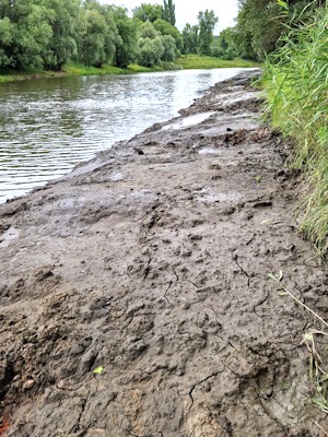 Foto: BUND Elbe-Heide. Schlamm an der Hafenzufahrt bei Alt Garge.