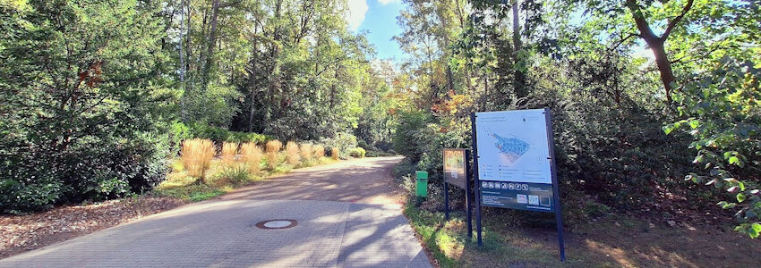 Foto: Hansestadt Lüneburg. Haupteingang zum Waldfriedhof. Hier werden der Eingangsbereich und die Hauptwege erneuert. Dafür ist der Haupteingang bis voraussichtlich 2. Oktober 2025 gesperrt.