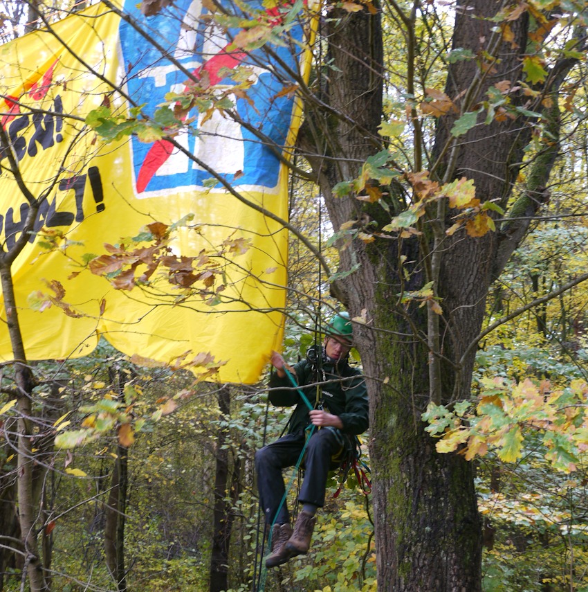 Foto: ROBIN WOOD/Cécile Lecomte. Aktivisten beim Aufhängen des Banners im Lüner Holz am 30. Oktober 2025.