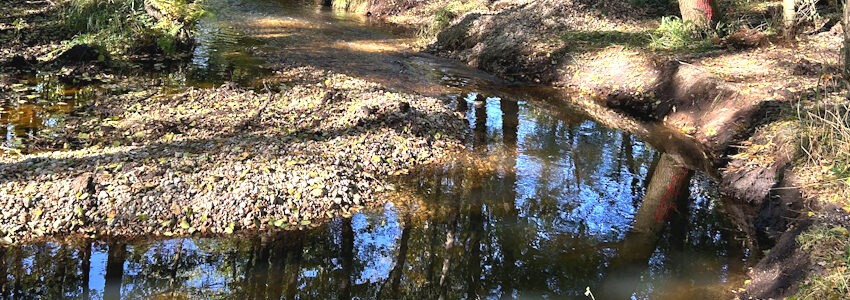 Foto: Landkreis Lüneburg. Nach rund zwei Wochen intensiver Arbeit dient der Bach künftig wieder als wertvoller Lebensraum für viele verschiedene Wasserorganismen.