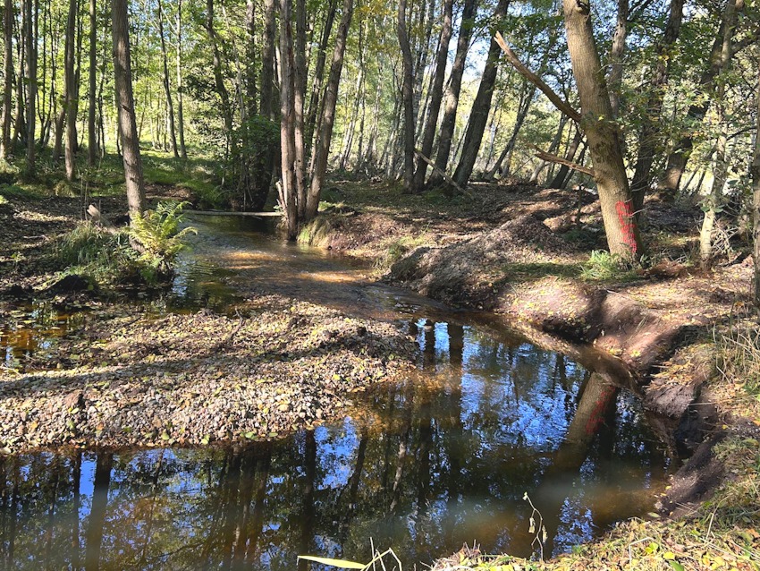 Foto: Landkreis Lüneburg. Der Barnstedt-Melbecker Bach. Drei neue Mäander verlängern nun den Bachlauf und bieten bessere Lebensbedingungen für die Tierwelt.
