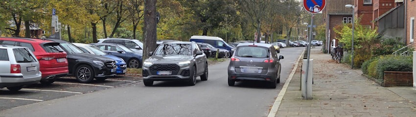 Foto: Lüne-Blog. Die Ilmenaustraße Lüneburg: Zentral, grün, am Ilmenauufer - aber nur als Parkplatz genutzt.