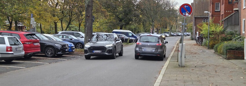 Foto: Lüne-Blog. Die Ilmenaustraße Lüneburg: Zentral, grün, am Ilmenauufer - aber nur als Parkplatz genutzt.
