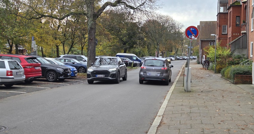 Foto: Lüne-Blog. Die Ilmenaustraße Lüneburg: Zentral, grün, am Ilmenauufer - aber nur als Parkplatz genutzt.