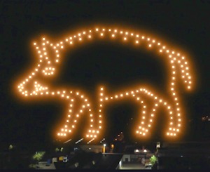 Foto: FlyingStars GmbH. Die Salzsau wird am 16. Dezember 2025 wohl auch vorbeikommen.