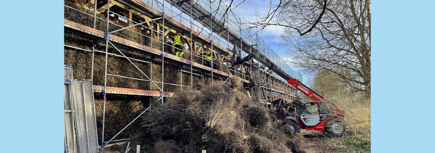 Foto: Hansestadt Lüneburg. Arbeiten am Gradierwerk im Kurpark.