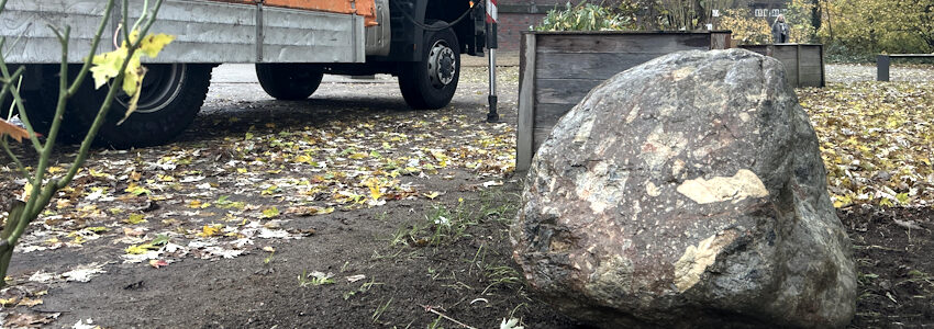 Foto: Museum Lüneburg. Ein kürzlich entdeckter Porphyr-Findling aus Skandinavien ist nun auf dem Museumsgelände aufgestellt.